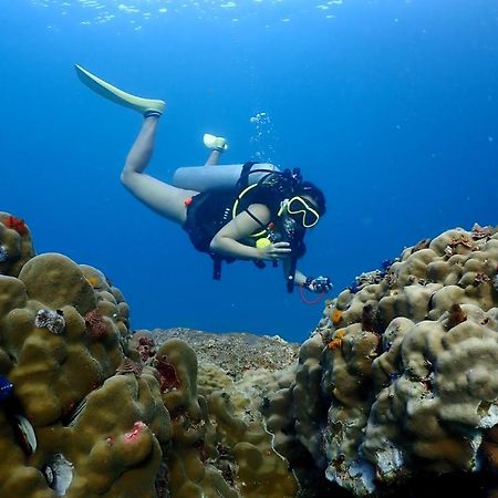 The Dearly Koh Tao Hostel-Padi 5 Star Dive Resort Екстер'єр фото