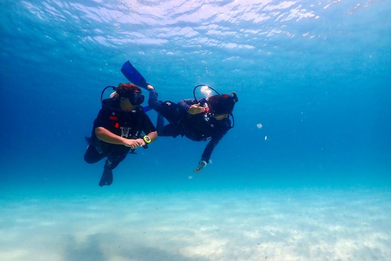 The Dearly Koh Tao Hostel-Padi 5 Star Dive Resort Екстер'єр фото